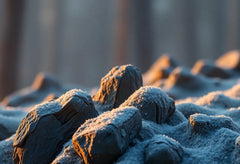 Selkäkipu ja puutuvat varpaat: mitä sinun tulisi tietää ja tehdä