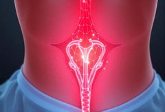 Protruusio alaselässä: miten lievittää kipua ja palauttaa liikkuvuus